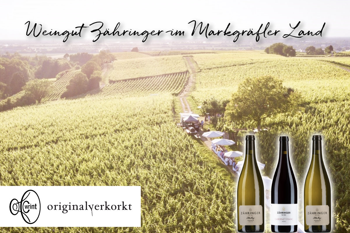 Titel, Logo, drei Flaschenabbildungen und ein Weinberg von Zähringer im Hintergrund
