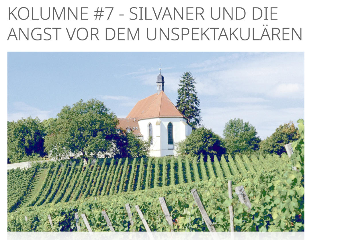 Kolumnen-Teaser mit einem bild aus einem fränkischen Silvaner-Weinberg